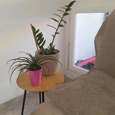 Apartmán Mangus